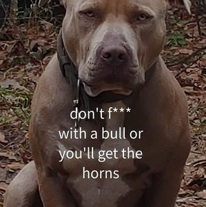 Meet your Posher, Roger